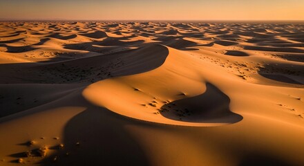 Golden sand dunes stretch across the horizon under a warm sunset. The landscape features smooth, undulating shapes and shadows created by the sun.