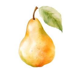 背景が白い黄色い梨のイラスト