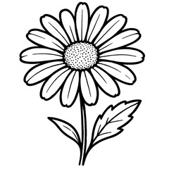 Black and White Daisy Flower Vector Illustration - Detailed Line Art Drawing