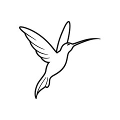 delicate line sketch of a hummingbird sipping nect