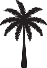 Obraz premium Silhouette of a Tropical Palm Tree
