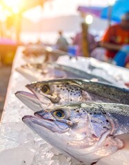 Fresh fish on ice at market