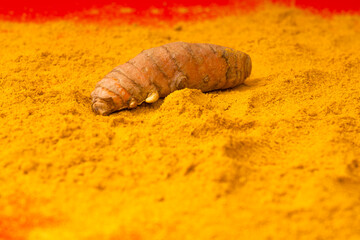 Turmeric or turmeric (Curcuma longa)