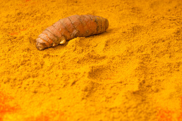 Curcuma longa - Turmeric powder, fresh root