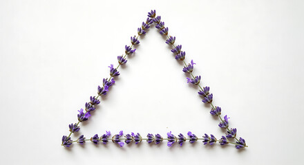 Lavender sprigs forming a triangle on white background