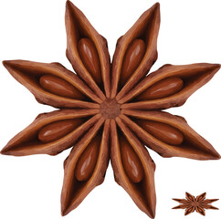 Star anise spice for culinary design elements now
