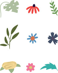 hand drawn simple minimal style flowers and leaves. isolated on white background