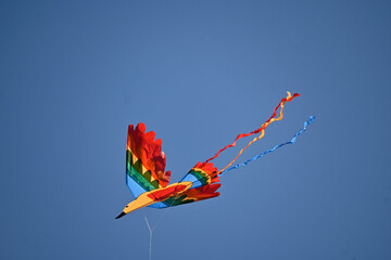 Drachenfest auf dem Tempelhofer Feld