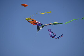 Drachenfest auf dem Tempelhofer Feld