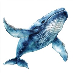 水彩画の青いクジラ 白い背景に詳細なイラスト
