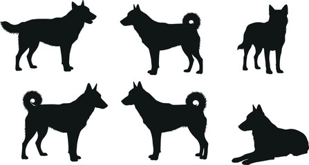 Dog silhouette collection, black dog outlines, standing and lying dogs, pet animal posture, canine vector design, isolated illustration, animal artwork set