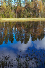 By the Klopptjernet Lake at Vestre Toten, Norway, in September 2025.