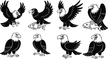 Eagle illustration set, cartoon eagle vector, flying eagle drawing, eagle with fish, hunting eagle art, bold eagle mascot design