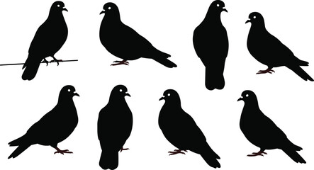 Pigeon silhouette collection, city bird vector, urban wildlife illustration, perched pigeon clipart, flying bird artwork, black pigeon design, dove symbol graphic