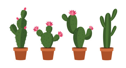 Four potted cacti with pink flowers in a simple illustration style