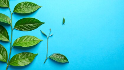 Fresh Green Leaves on Light Blue Background.