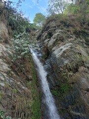 Obraz premium waterfall in the forest