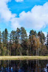 By the Klopptjernet Lake at Vestre Toten, Norway, in September 2025.