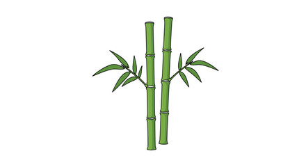 Fototapeta premium Two green bamboo stalks with small green leaves emerging from the top sections.