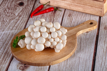 Raw asian mushrooms buna shimeji