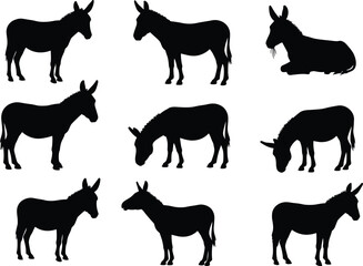 Silhouette Vector Set of Donkey Poses Including Standing, Walking, Grazing, and Sitting for Farm Animal Design and Illustration