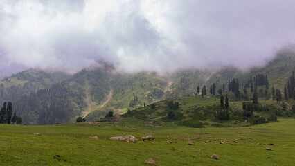 Perched high above Gulmarg, Kangdori Maidaan is a vast alpine meadow reached by the first phase of the Gulmarg Gondola. At nearly 3,000 meters, it offers sweeping views of snow-draped peaks.