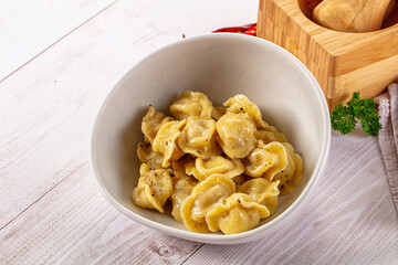 Tasty Russian dumplings with meat