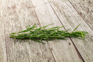 Fresh green tarragon aromatic herb