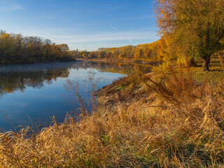 Fototapeta premium autumn landscape with river and wood
