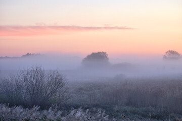 Fototapeta premium sunrise in the fog