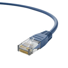 Blue ethernet cable connector closeup isolated PNG with Transparent Background