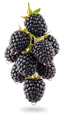 Flying cluster of blackberries with dewdrops,