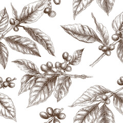 Detaliczna, monochromatyczna, ręcznie rysowana ilustracja wzoru kawowca, ukazująca liście i owoce, idealna dla miłośników stylu vintage i kawy.
