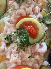 shrimp and avocado salad