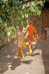 The girls are carrying a bucket of water to water the domestic chickens. Children feed poultry in the village