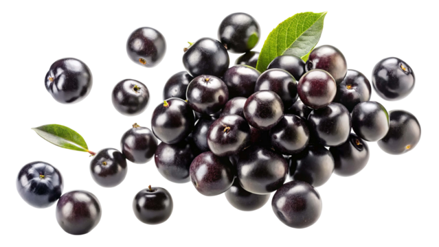 A cluster of ripe dark purple elderberries with a few green leaves isolated on transparent background