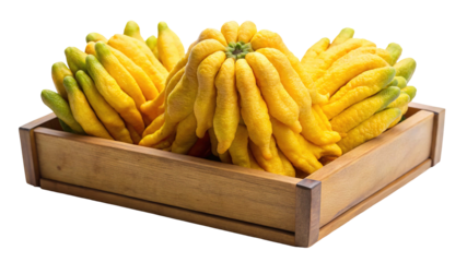 Three bright yellow buddha s hand citron fruits with unique finger like segments in a rustic wooden crate isolated on transparent background
