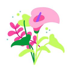 Vibrant Pink Calla Lily and Green Leaves Illustration, A Beautiful Botanical Arrangement of Delicate Flowers