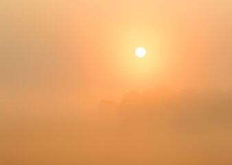 Soft golden sunlight breaks through layer of mist, creating serene atmosphere in early morning light. Scene evokes calmness, peace in nature. Morning Glow in Misty Landscape on Sunrise in Tranquil.
