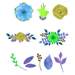 Beautiful watercolor floral elements and botanical illustrations for graphic design and decoration