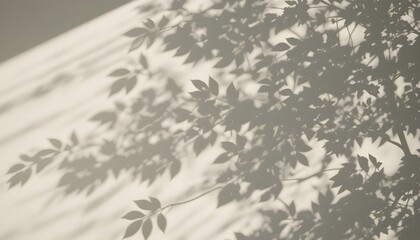 Obraz premium shadow overlay effects of realistic abstract natural tree leaves shadow on wall background,Summer sunlight and shadow overlay effect,shadow for photo interior backdrop studio mockup