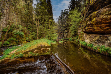 The image depicts the picturesque landscape of the Czech Switzerland National Park. The picture shows green foliage in a valley with a stream, which is typical for this area. czech republic