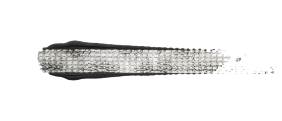 black traces of tractor tires on white background..