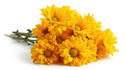 Obraz premium A vibrant bouquet of yellow daisies is neatly gathered showcasing the cheerful blooms and fresh green stems. Ideal for brightening up any space or for special occasions.