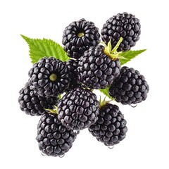 Flying cluster of blackberries with dewdrops,