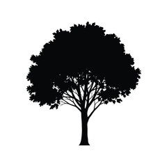 Dramatic Silhouette of a Tree Against a White Backdrop Illustration
