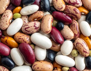 Assorted Beans Colorful Display.