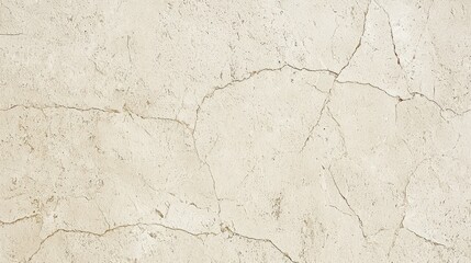Cream limestone background natural stone texture with weathered surface cracks and aged patina showing authentic geological formations for web design