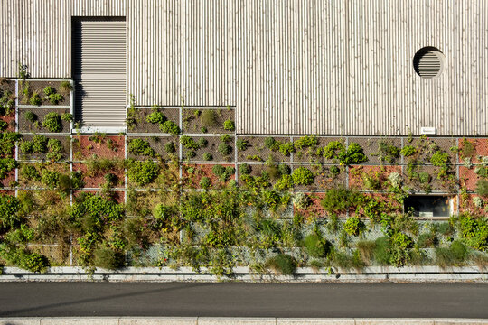 Green wall garden on concrete facade in Oslo Norway, sustainable architecture clarity background for branding, Scandinavian urban living and eco design