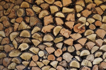 A close-up view of neatly stacked firewood creates the impression of a natural wood wall. The detailed texture of the split logs, with their growth rings and warm brown tones, creates a rustic backdro